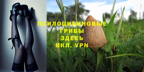 дурь Абдулино