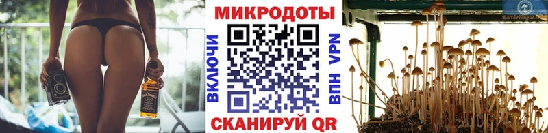 гидра маркетплейс  Энгельс  Псилоцибиновые грибы GOLDEN TEACHER 