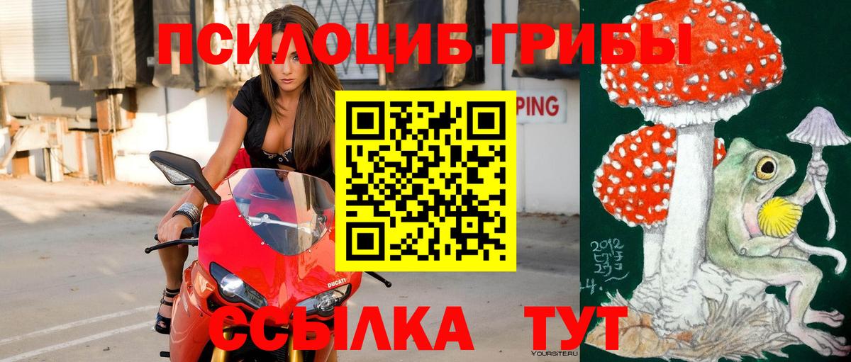 Псилоцибиновые грибы Magic Shrooms Энгельс
