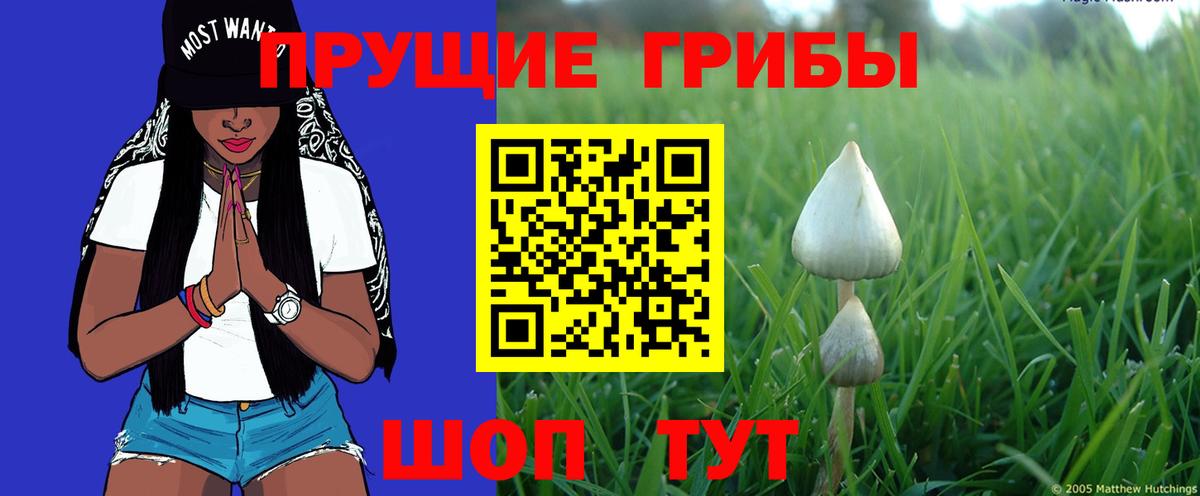Псилоцибиновые грибы мухоморы  Вход с VPN  Псилоцибиновые грибы Magic Shrooms  Энгельс 